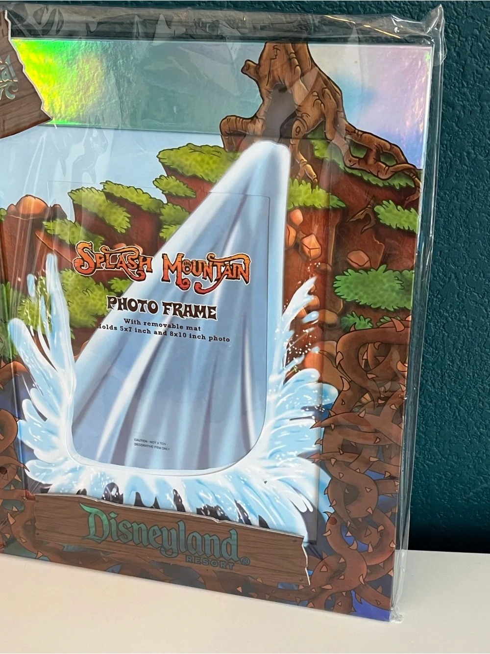 Vintage Magic Kingdom Disneyland Resort Splash Mountain Picture Frame 5x7” 8x10”